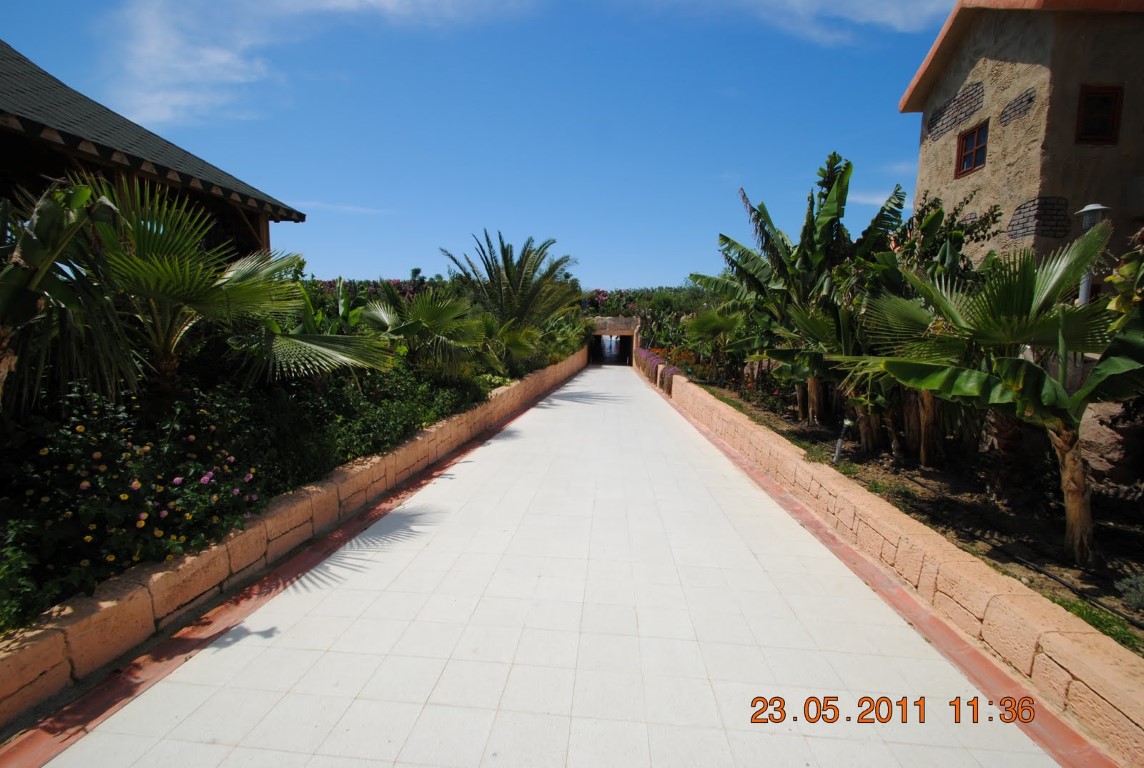 imagini hotel AMELIA BEACH RESORT SIDE